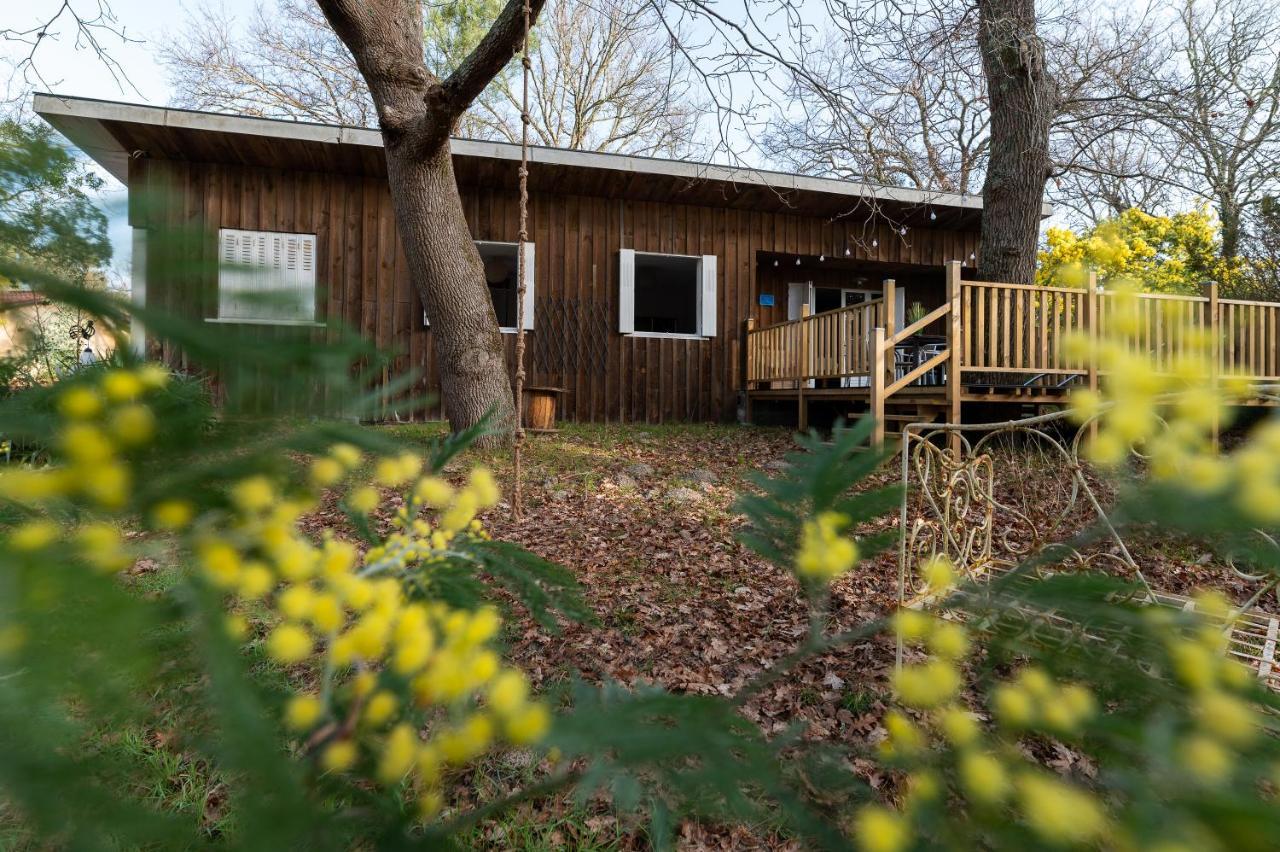 La Petite Maison Du Lac Biscarrosse Exterior foto